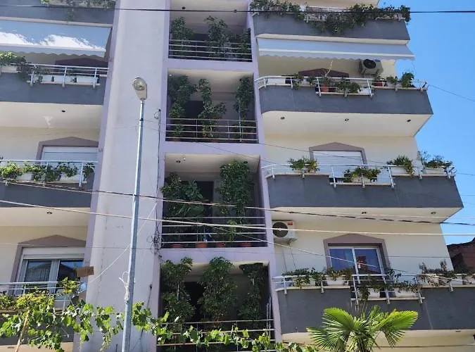 Class House 地拉那